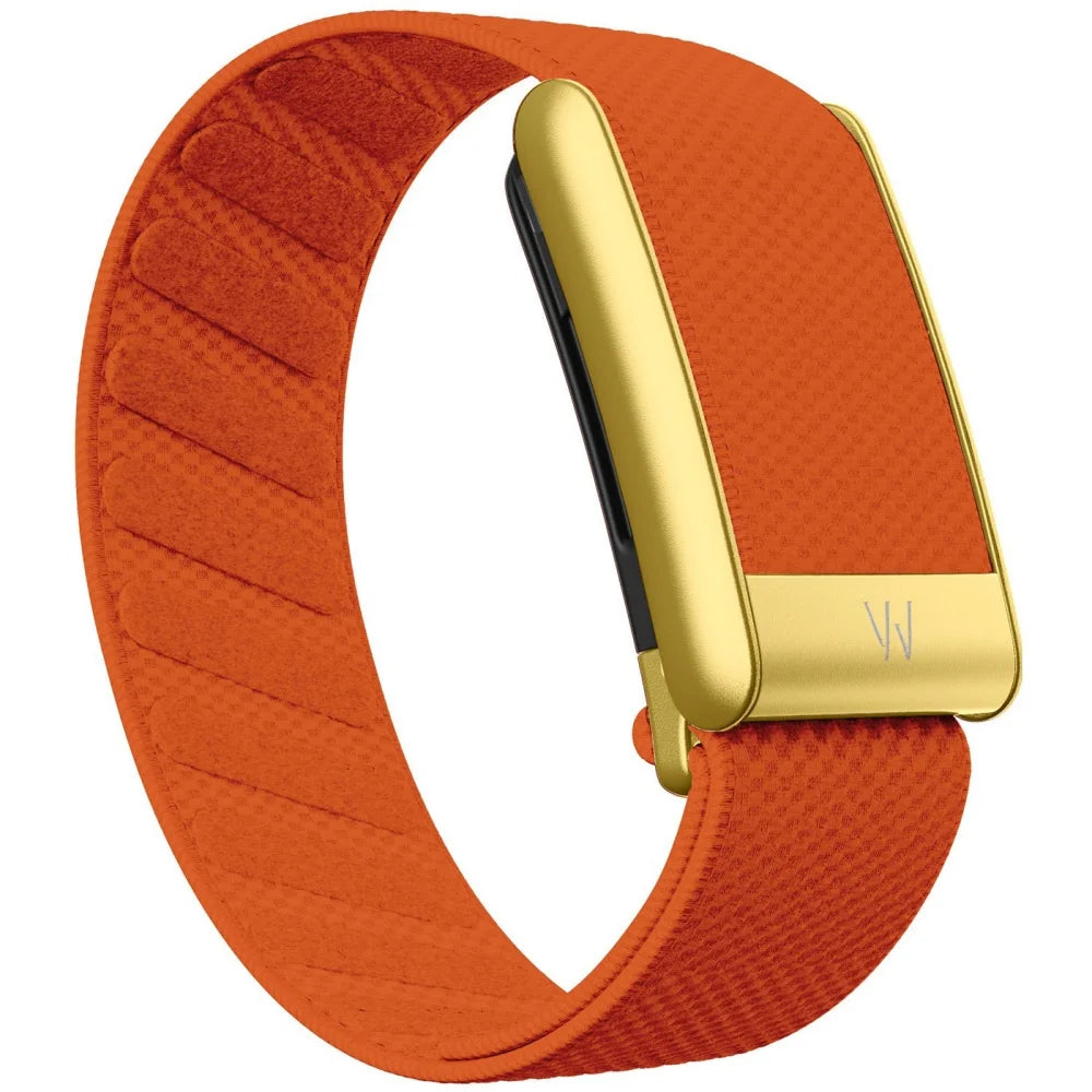 Bracelete Metal para Whoop 5.0 — Preto, Prata ou Dourado